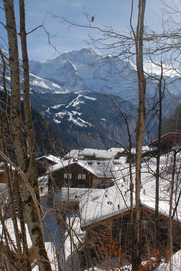 Hotel Restaurant Waldrand, Isenfluh 外观 照片